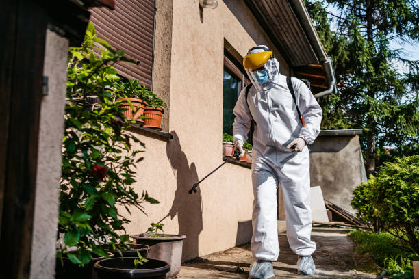 Best Cockroach Control Services  in Hilliard, FL