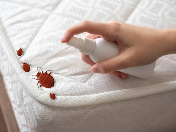 Best Best Pest Control Near Me  in Hilliard, FL